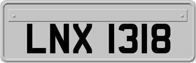 LNX1318