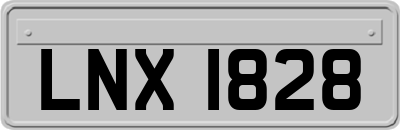 LNX1828