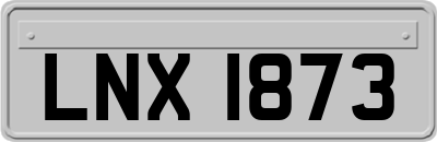 LNX1873