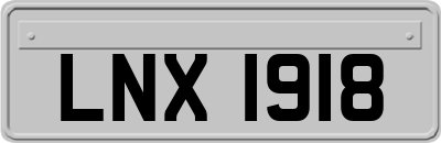 LNX1918