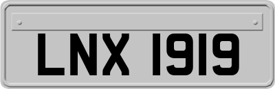 LNX1919