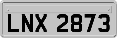 LNX2873