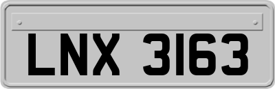LNX3163