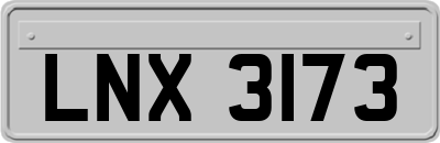 LNX3173