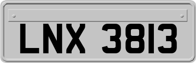 LNX3813