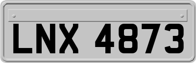 LNX4873