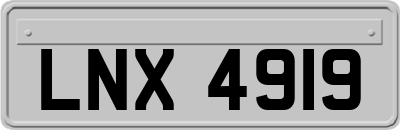 LNX4919