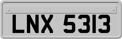 LNX5313