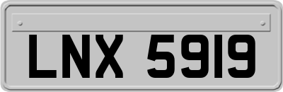 LNX5919