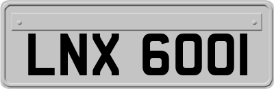 LNX6001