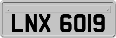 LNX6019