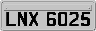 LNX6025