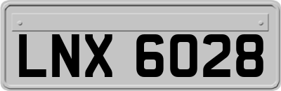 LNX6028