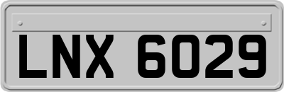 LNX6029