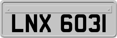 LNX6031
