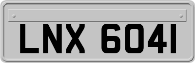LNX6041