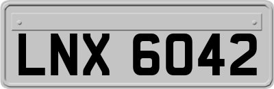 LNX6042