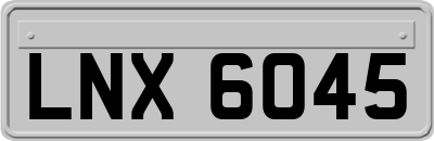 LNX6045