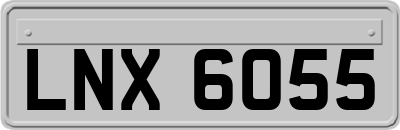 LNX6055