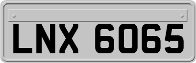 LNX6065