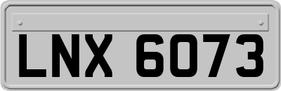 LNX6073