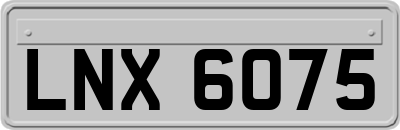 LNX6075