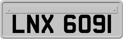 LNX6091