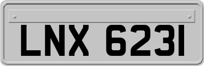 LNX6231