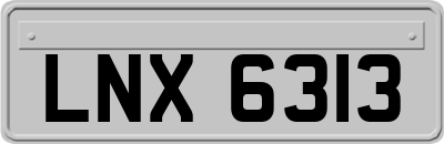 LNX6313