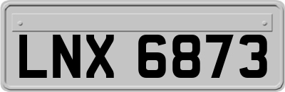 LNX6873