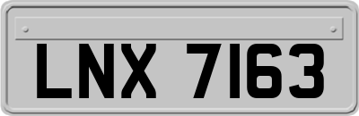 LNX7163