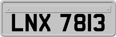 LNX7813