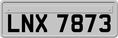 LNX7873