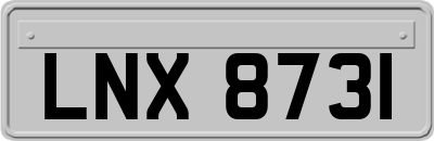 LNX8731