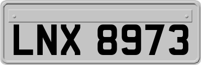 LNX8973