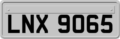LNX9065