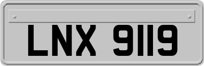 LNX9119