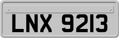 LNX9213