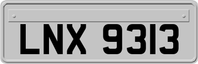 LNX9313