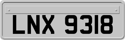 LNX9318