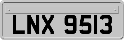 LNX9513