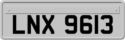 LNX9613
