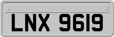 LNX9619