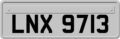LNX9713