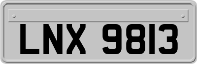 LNX9813