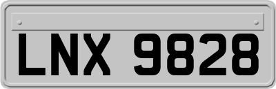 LNX9828