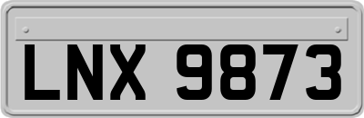 LNX9873