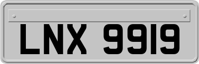 LNX9919
