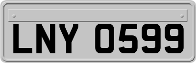 LNY0599
