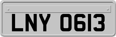 LNY0613
